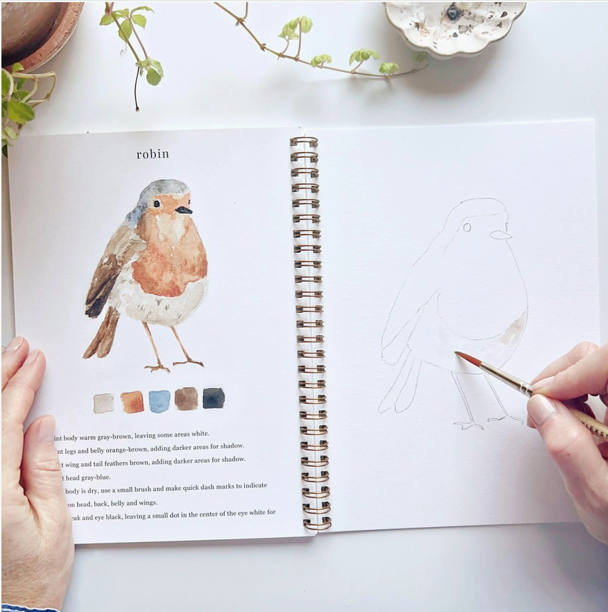 EMILY LEX STUDIO - WATERCOLOUR WORKBOOK - BIRDS