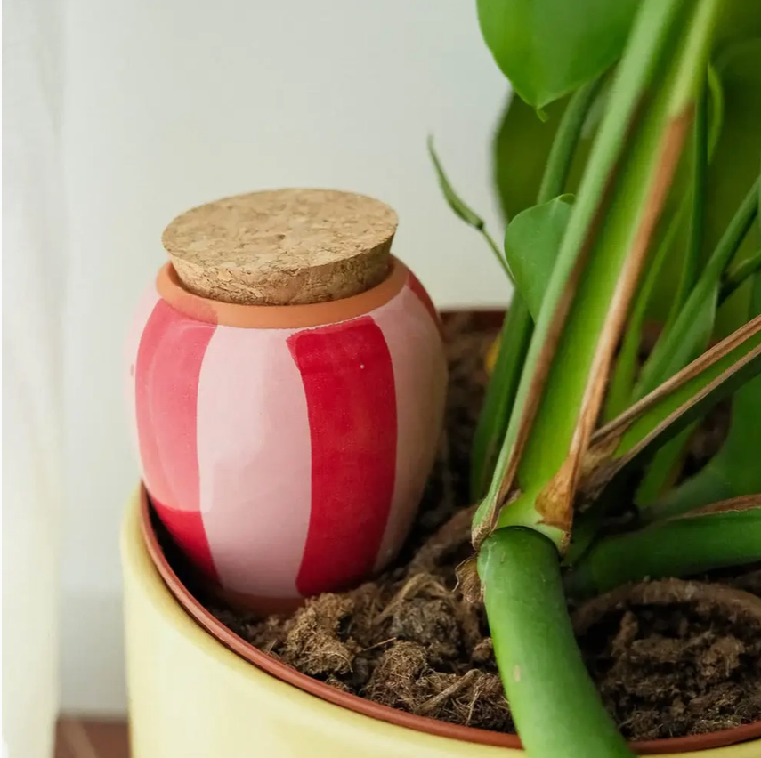 PEPIN OLLA - STRIPED RED & PINK