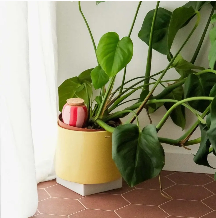 PEPIN OLLA - STRIPED RED & PINK