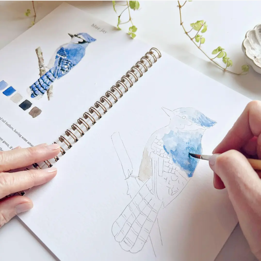 Emily Lex studio Birds Watercolour Workbook