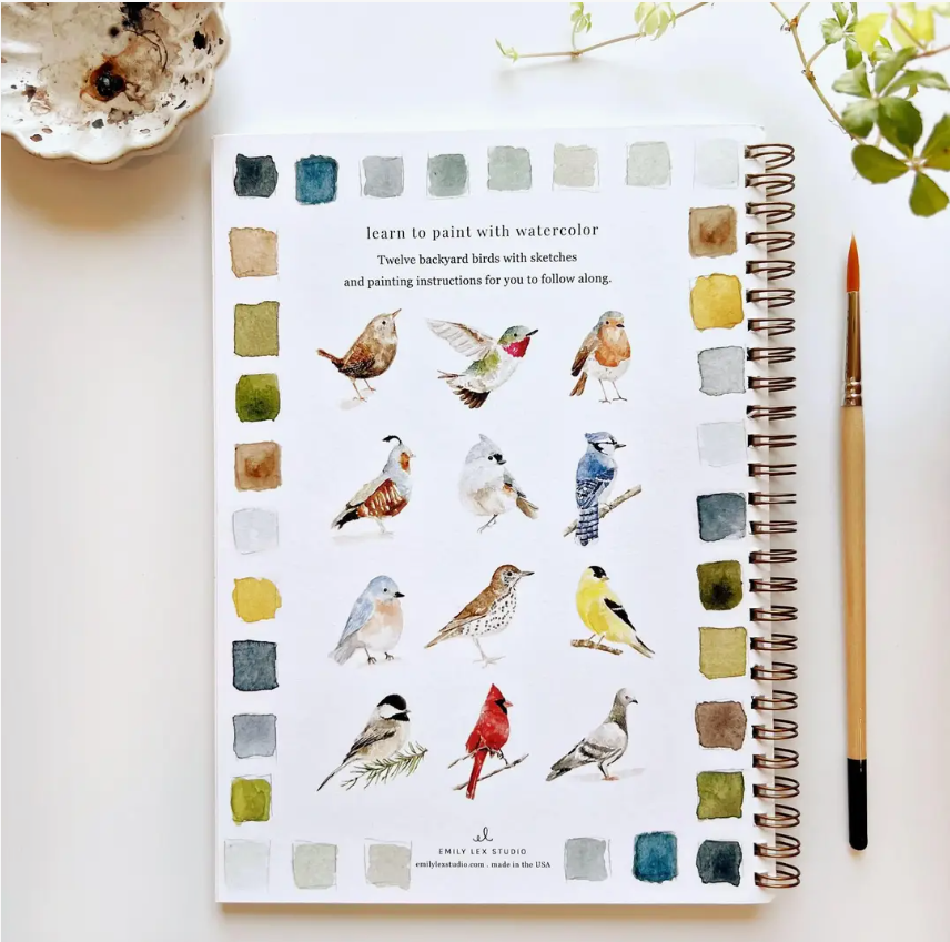 Emily Lex studio Birds Watercolour Workbook