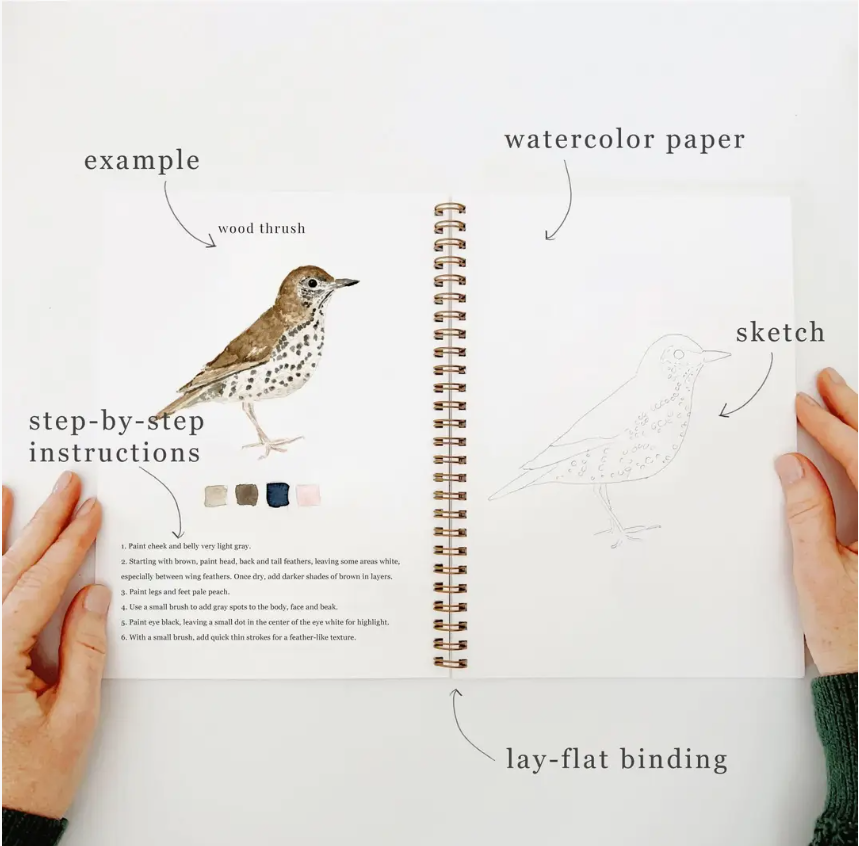 Emily Lex studio Birds Watercolour Workbook