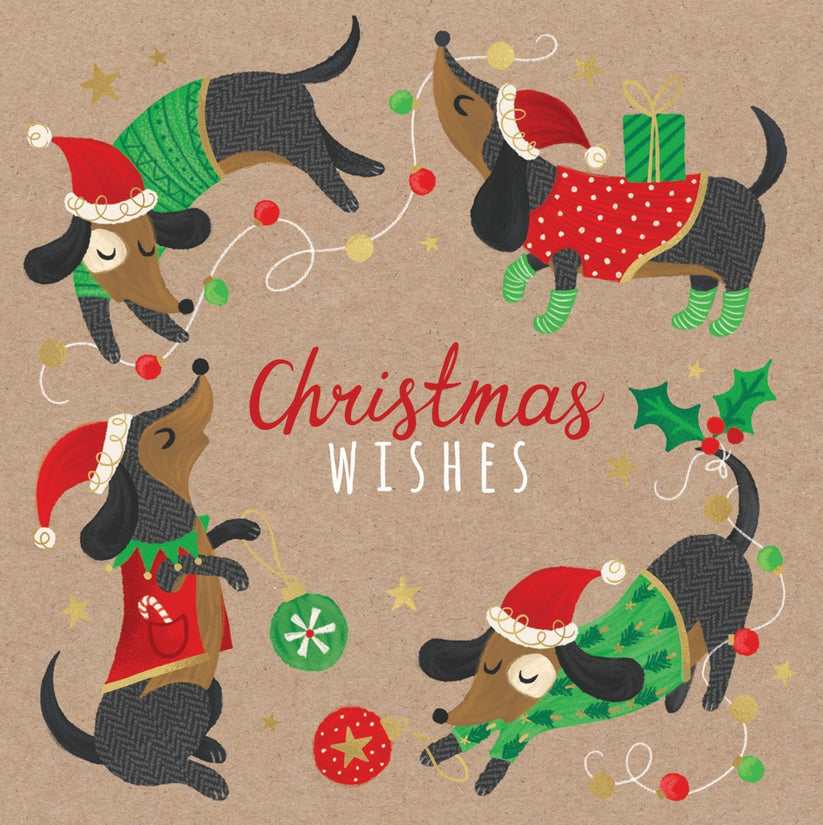 CARD BOXED BC DACHSHUND CAPERS