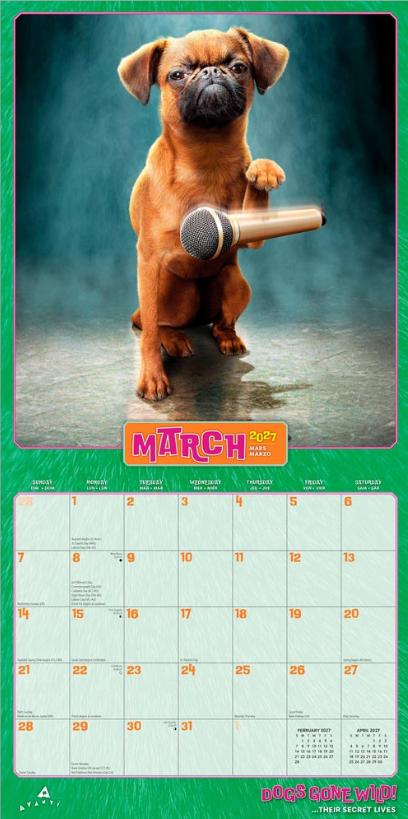 Avanti Dogs Gone Wild 2027 Square
