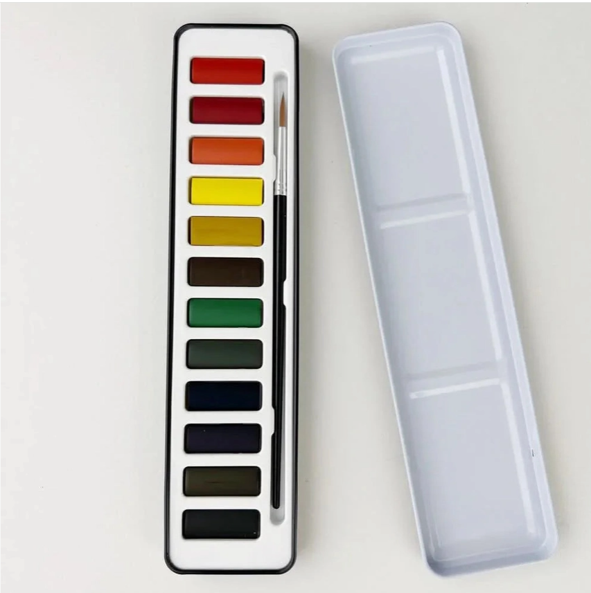 Emily Lex watercolor paint set 12 coloUrs 