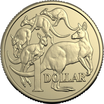 ROYAL AUSTRALIAN MINT 2025 $1 CIRCULATED NON-PREMIUM COIN ROLL