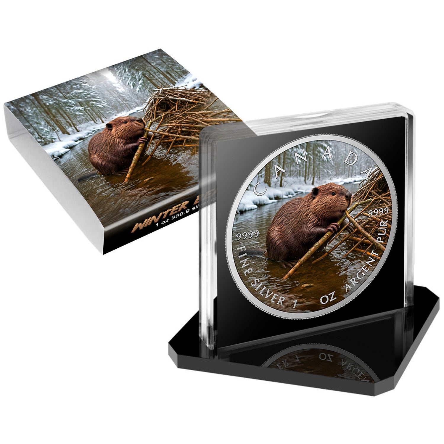 MintCoins Canada 2025 - Beaver - .999 silver coin 1 oz