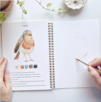 EMILY LEX STUDIO - WATERCOLOUR WORKBOOK - BIRDS