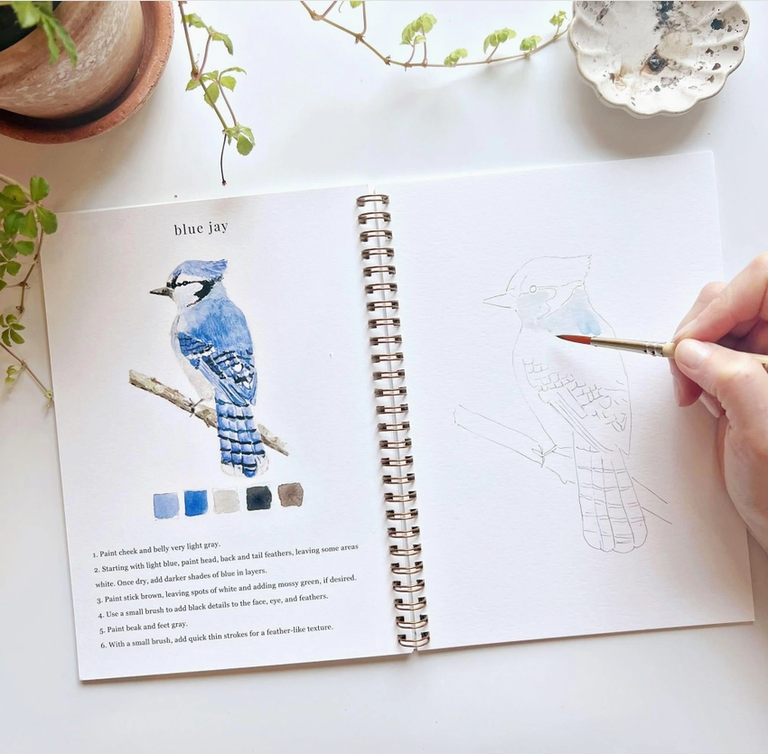 EMILY LEX STUDIO - WATERCOLOUR WORKBOOK - BIRDS