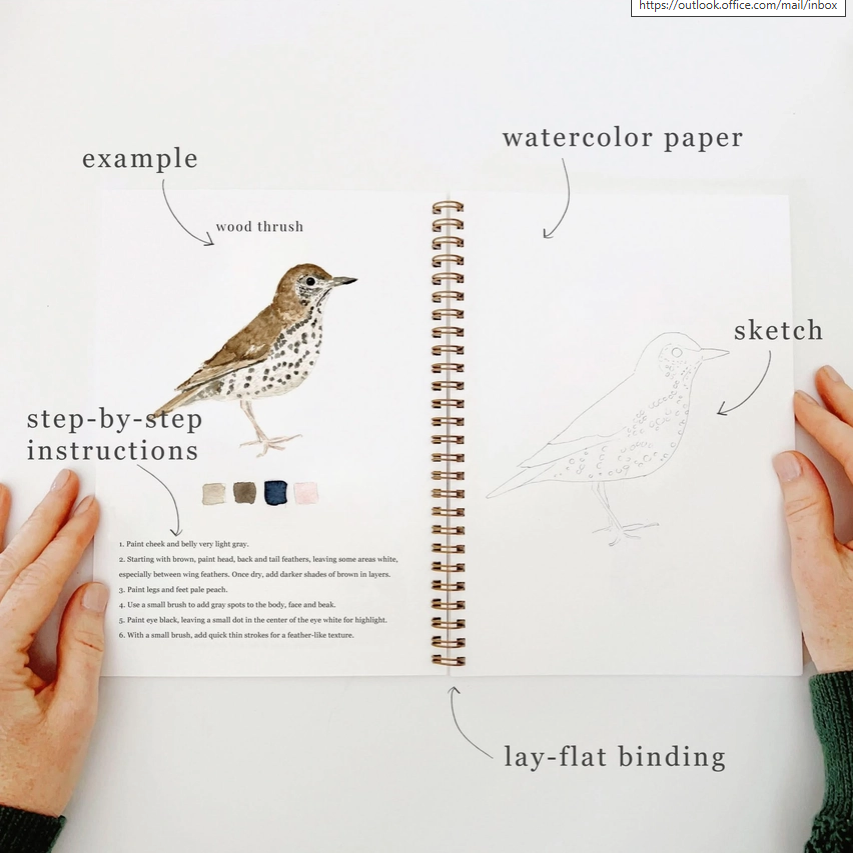 EMILY LEX STUDIO - WATERCOLOUR WORKBOOK - BIRDS