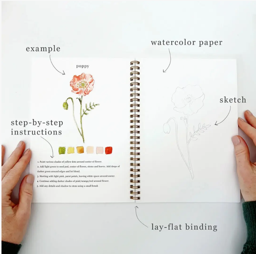 Emily Lex Studio Flowers Watercolour Workbook