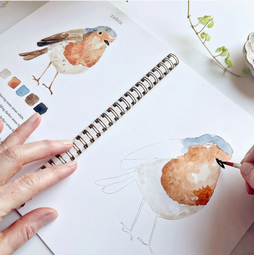 Emily Lex studio Birds Watercolour Workbook