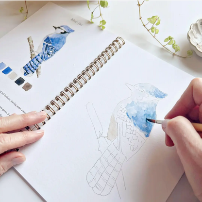 Emily Lex studio Birds Watercolour Workbook