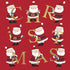 PROSTATE CANCER FOUNDATION SANTA GREETINGS  CHARITY BOXED CHRISTMAS CARDS 