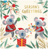 OVARIAN CAMNCER RESEARCH FOUNDATION  KOALA FROLICS CHARITY BOXED CHRISTMAS CARDS 