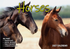 Calendar 2027 Big Print Horses