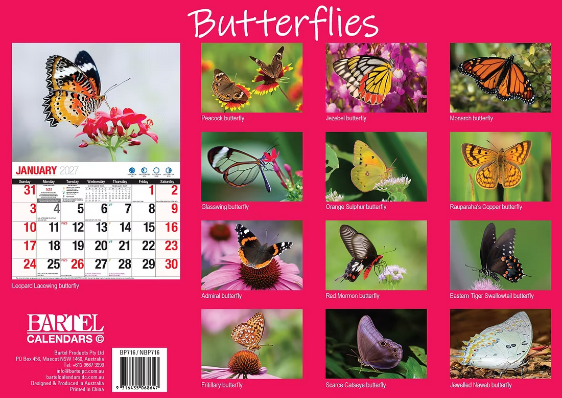 Calendar 2027 Big Print Butterflies