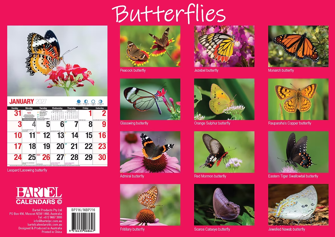 Calendar 2027 Big Print Butterflies