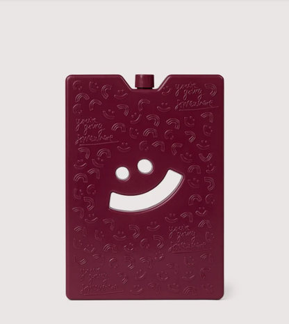 The Somewhere Co. Burgundy Large Ice Brick 