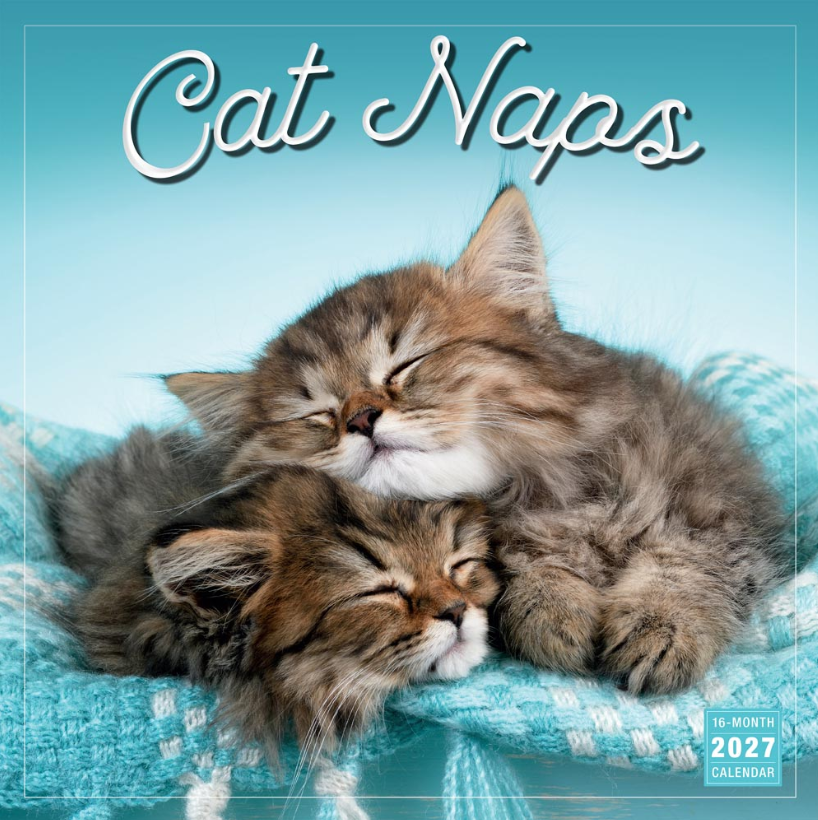 Cat Naps 2027 Square