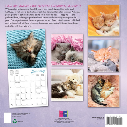 Cat Naps 2027 Square