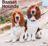 Basset Hounds 2026 Square
