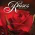 Roses 2027 Square