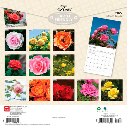 Roses 2027 Square