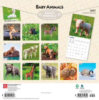Baby Animals 2027 Square