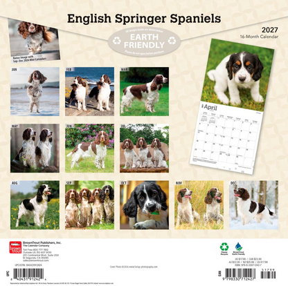 English Springer Spaniels 2027 Square