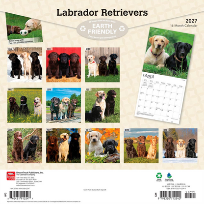 Labrador Retrievers 2027 Square