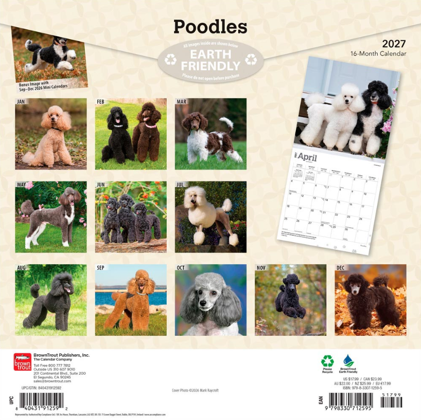 Poodles 2027 Square