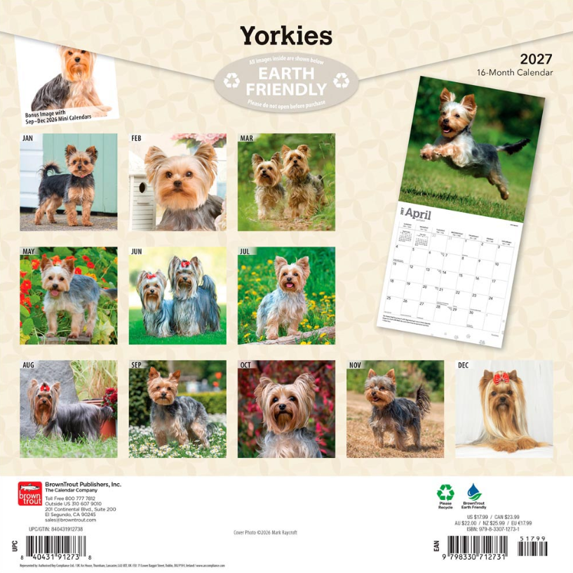 Yorkshire Terriers 2027 Square