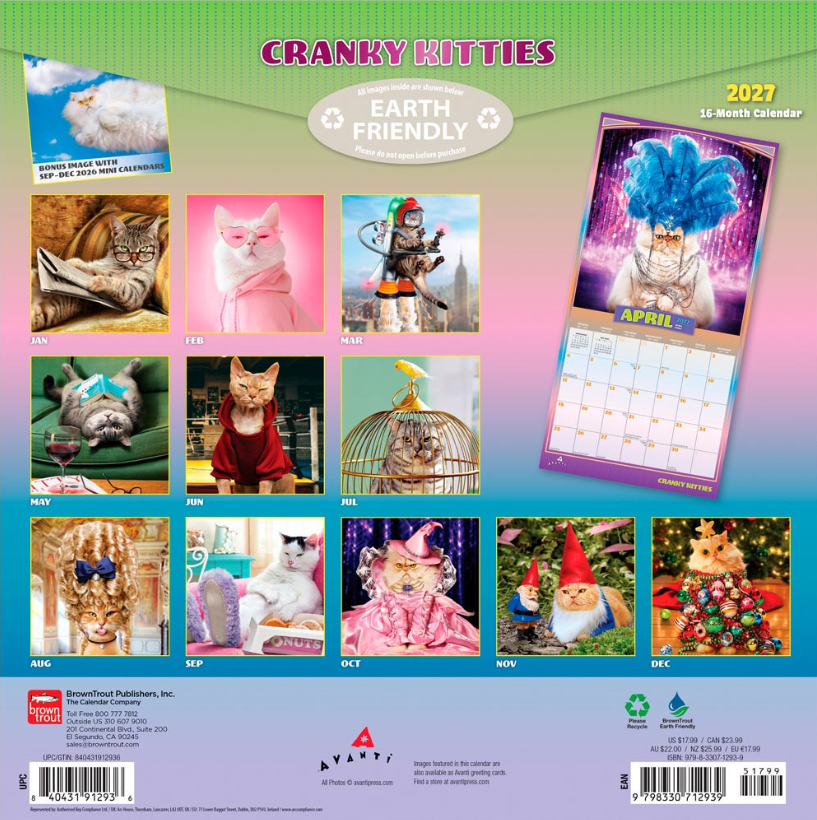 Avanti Cranky Kitties 2027 Square FOIL