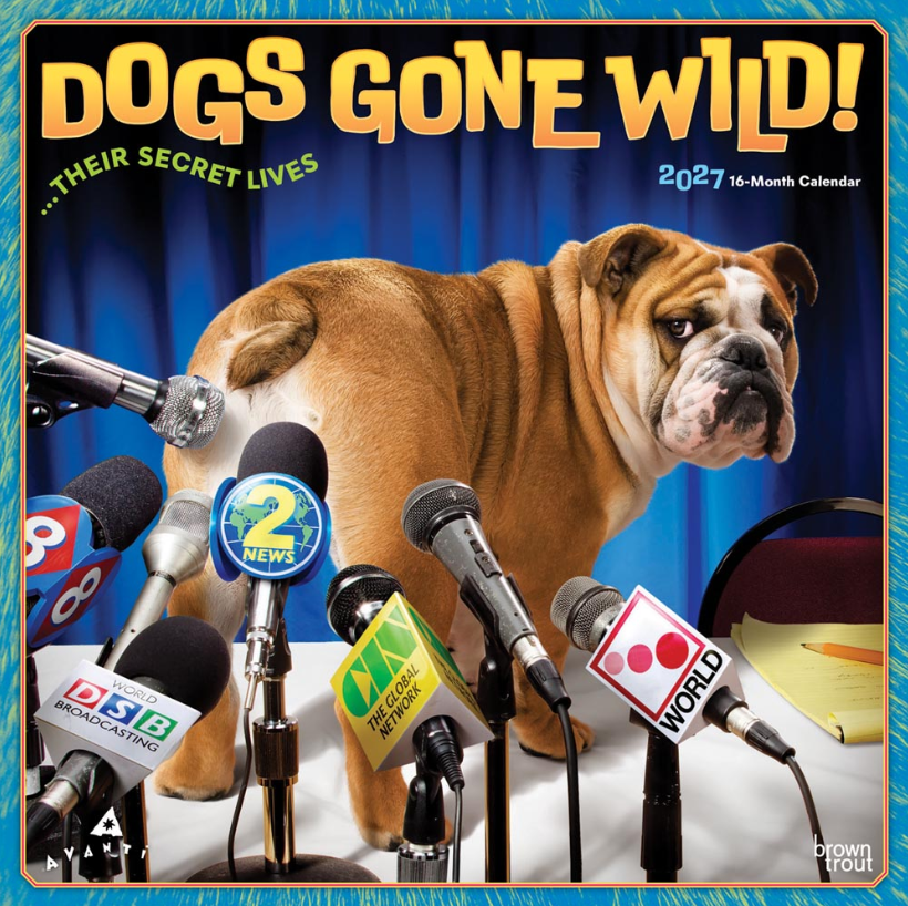 Avanti Dogs Gone Wild 2027 Square