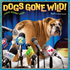 Avanti Dogs Gone Wild 2027 Square