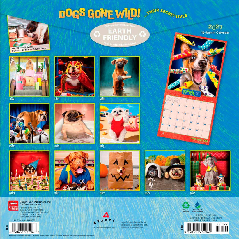 Avanti Dogs Gone Wild 2027 Square