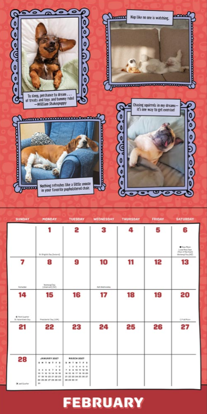 Dogs Are Cheaper Than Therapy 2027 Square
